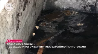 Дом с фекалиями: подъезды многоквартирника затопило нечистотами Дом с фекалиями: подъезды многоквартирника затопило нечистотами