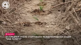 На Среднем Урале стартовала международная акция "Сад памяти" На Среднем Урале стартовала международная акция "Сад памяти"