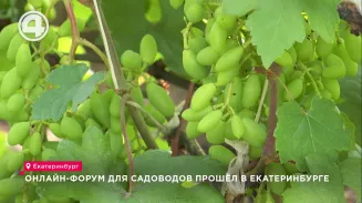 Онлайн-форум для садоводов прошёл в Екатеринбурге Онлайн-форум для садоводов прошёл в Екатеринбурге