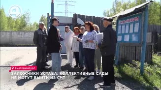 Заложники устава: коллективные сады не могут выйти из СНТ Заложники устава: коллективные сады не могут выйти из СНТ
