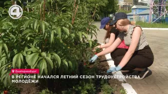 В регионе начался летний сезон трудоустройства молодёжи В регионе начался летний сезон трудоустройства молодёжи