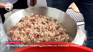 Кормить нельзя травить: шаурма на птичьих правах Кормить нельзя травить: шаурма на птичьих правах