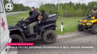 Брата и сестру, которые потерялись в лесу, нашли живыми