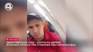 Единственный след - шорты на дереве: мужчина пропал при странных обстоятельствах Единственный след - шорты на дереве: мужчина пропал при странных обстоятельствах