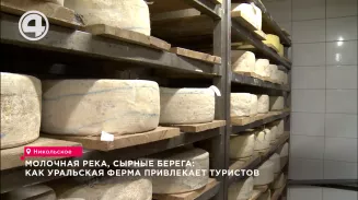 Молочная река, сырные берега: как уральская ферма привлекает туристов Молочная река, сырные берега: как уральская ферма привлекает туристов