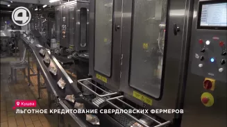Льготное кредитование свердловских фермеров Льготное кредитование свердловских фермеров