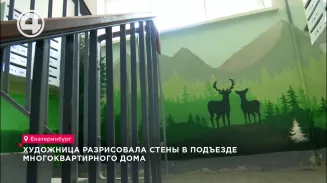 Художница разрисовала стены в подъезде многоквартирного дома Художница разрисовала стены в подъезде многоквартирного дома