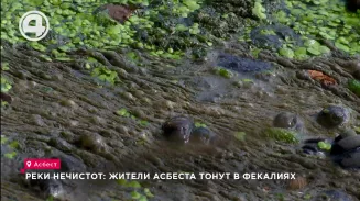 Реки нечистот: жители Асбеста тонут в фекалиях Реки нечистот: жители Асбеста тонут в фекалиях