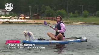 Уральцы вместе со своими питомцами прокатились на сапах Уральцы вместе со своими питомцами прокатились на сапах
