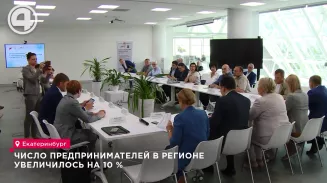 Число предпринимателей в регионе увеличилось на 10 % Число предпринимателей в регионе увеличилось на 10 %