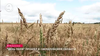 "День поля" прошел в Свердловской области "День поля" прошел в Свердловской области