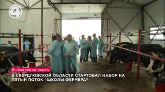 В Свердловской области стартовал набор на пятый поток "Школы фермера" В Свердловской области стартовал набор на пятый поток "Школы фермера"