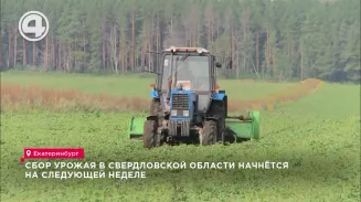 На следующей неделе в регионе приступят к массовому сбору урожая На следующей неделе в регионе приступят к массовому сбору урожая