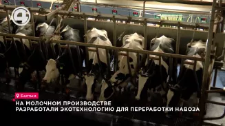 Уральские аграрии представили новый способ переработки навоза Уральские аграрии представили новый способ переработки навоза