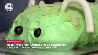 В столице Урала выбрали королеву яблочного пирога В столице Урала выбрали королеву яблочного пирога