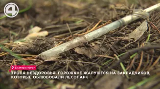 Тропа НЕздоровья: горожане жалуются на закладчиков, которые облюбовали лесопарк Тропа НЕздоровья: горожане жалуются на закладчиков, которые облюбовали лесопарк