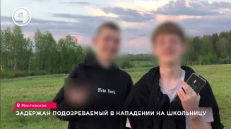 Задержан подозреваемый в нападении на школьницу Задержан подозреваемый в нападении на школьницу
