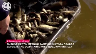 Рыбное место: первый замгубернатора провёл зарыбление Волчихинского водохранилища Рыбное место: первый замгубернатора провёл зарыбление Волчихинского водохранилища