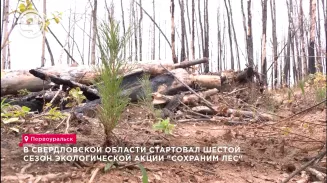 В Свердловской области стартовал шестой сезон экологической акции "Сохраним лес" В Свердловской области стартовал шестой сезон экологической акции "Сохраним лес"