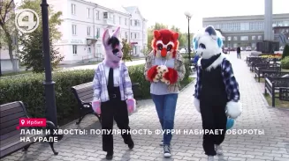 Лапы и хвосты: популярность фурри набирает обороты на Урале Лапы и хвосты: популярность фурри набирает обороты на Урале