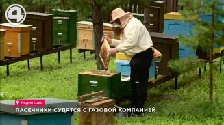 Пасечники судятся с газовой компанией Пасечники судятся с газовой компанией