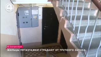 Жильцы пятиэтажки страдают от трупного запаха Жильцы пятиэтажки страдают от трупного запаха
