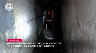 Живут в нечистотах: люди жалуются на зловонное болото в подвале Живут в нечистотах: люди жалуются на зловонное болото в подвале