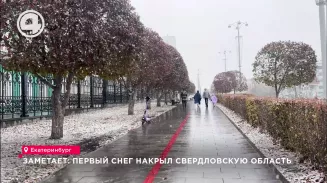 Заметает: первый снег накрыл Свердловскую область Заметает: первый снег накрыл Свердловскую область