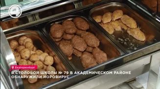 В столовой школы № 79 в Академическом районе обнаружили норовирус В столовой школы № 79 в Академическом районе обнаружили норовирус