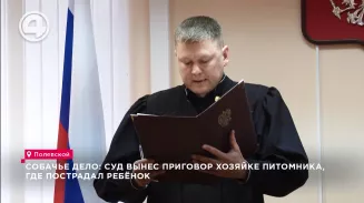 Собачье дело: суд вынес приговор хозяйке питомника, где пострадал ребёнок Собачье дело: суд вынес приговор хозяйке питомника, где пострадал ребёнок