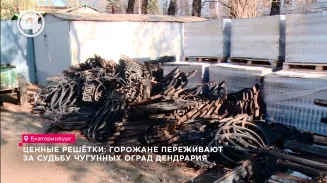 Ценные решётки: горожане переживают за судьбу чугунных оград Дендрария Ценные решётки: горожане переживают за судьбу чугунных оград Дендрария