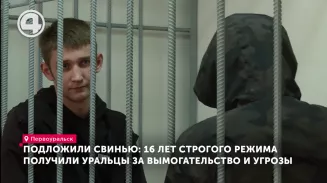 Подложили свинью: 16 лет строгого режима получили уральцы за вымогательство и угрозы Подложили свинью: 16 лет строгого режима получили уральцы за вымогательство и угрозы