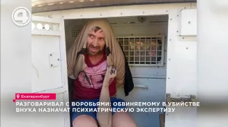 Разговаривал с воробьями: обвиняемому в убийстве внука назначат психиатрическую экспертизу Разговаривал с воробьями: обвиняемому в убийстве внука назначат психиатрическую экспертизу