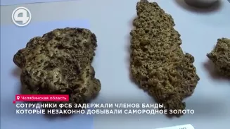 Сотрудники ФСБ задержали членов банды, которые незаконно добывали самородное золото Сотрудники ФСБ задержали членов банды, которые незаконно добывали самородное золото