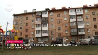 Живут в сырости: подъезды на улице Ватутина затопило водой Живут в сырости: подъезды на улице Ватутина затопило водой