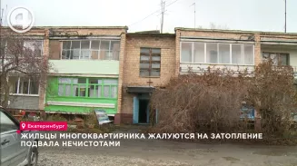 Жильцы многоквартирника жалуются на затопление подвала нечистотами Жильцы многоквартирника жалуются на затопление подвала нечистотами