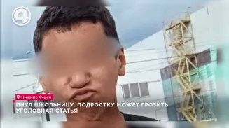 Пнул школьницу: подростку может грозить уголовная статья Пнул школьницу: подростку может грозить уголовная статья