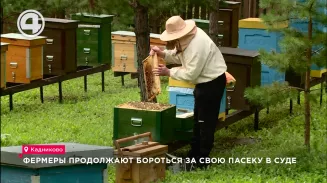 Фермеры продолжают бороться за свою пасеку в суде Фермеры продолжают бороться за свою пасеку в суде