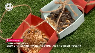 Синичкин день: экологический праздник отмечают по всей России Синичкин день: экологический праздник отмечают по всей России