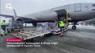 Грузооборот Кольцово в этом году превысил 11 тысяч тонн Грузооборот Кольцово в этом году превысил 11 тысяч тонн
