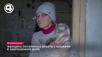 Женщина поселилась вместе с кошками в заброшенном доме Женщина поселилась вместе с кошками в заброшенном доме