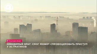 Невидимый враг: смог может спровоцировать приступ у астматиков Невидимый враг: смог может спровоцировать приступ у астматиков