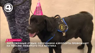 Заслуженный отдых: сотрудники аэропорта провожают на пенсию любимого пса Винтика Заслуженный отдых: сотрудники аэропорта провожают на пенсию любимого пса Винтика