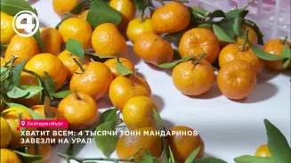 Хватит всем: 4 тысячи тонн мандаринов завезли на Урал Хватит всем: 4 тысячи тонн мандаринов завезли на Урал