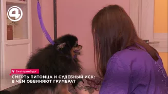 Смерть питомца и судебный иск: в чём обвиняют грумера?