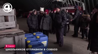 Школьников отправили в совхоз Школьников отправили в совхоз