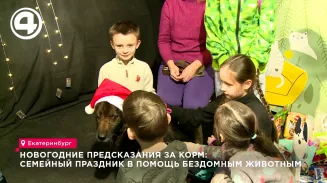 Новогодние предсказания за корм: семейный праздник в помощь бездомным животным Новогодние предсказания за корм: семейный праздник в помощь бездомным животным