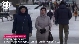 Здесь снега нет: в регионе ожидается тёплый Новый год Здесь снега нет: в регионе ожидается тёплый Новый год