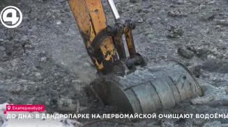 До дна: в Дендропарке на Первомайской очищают водоёмы До дна: в Дендропарке на Первомайской очищают водоёмы