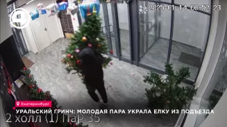 Уральский Гринч: молодая пара украла ёлку из подъезда Уральский Гринч: молодая пара украла ёлку из подъезда